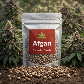 Насіння коноплі Afgan