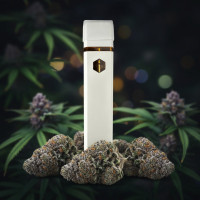 Одноразовый CBGX Vape