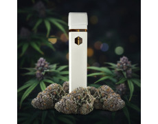 Одноразовий CBGX Vape