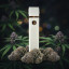 Одноразовий CBGX Vape
