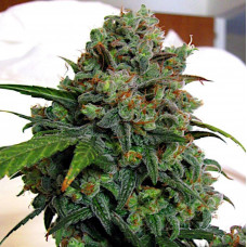 AK-47 AUTO