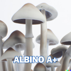 Спори грибів Albino A+