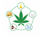 Купити CBD продукти в Україні — олії, капсули, напої ✅ Ice Shop Купити CBD продукти в Україні — олії, капсули, напої ✅ Ice Shop