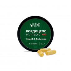 Кордіцепс Військовий + Вітамін B3 - 21 капсула